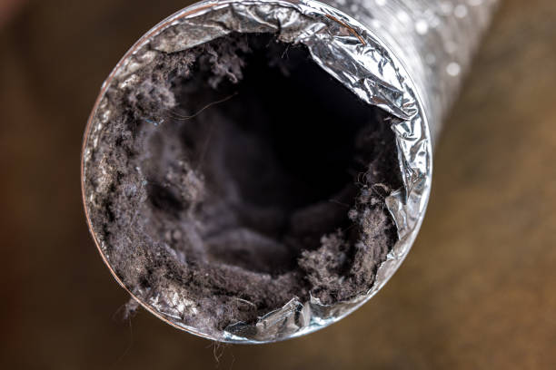 Best Air Duct Cleaning Near Me  in Westlake Village, CA