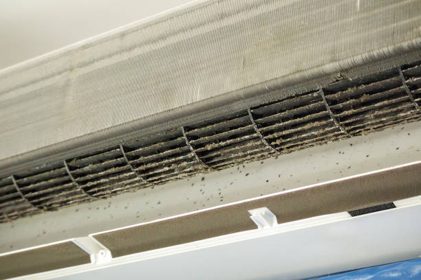 Best Affordable Duct Cleaning Services  in Westlake Village, CA